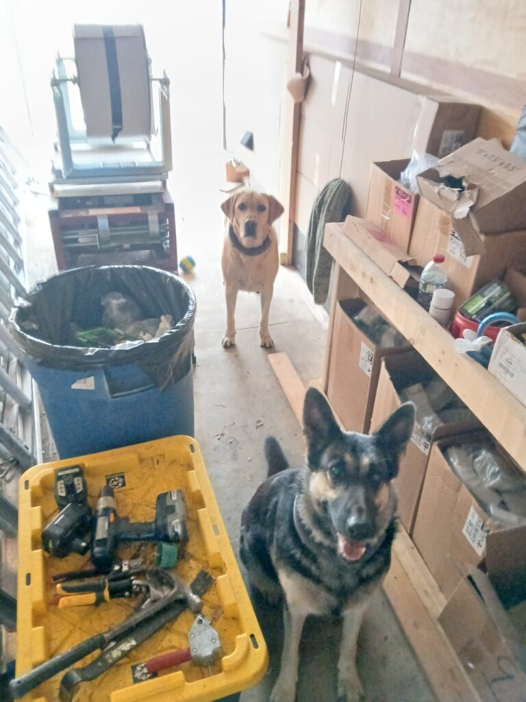 Some Country Dogs Visited Gutter-Gear on the job.
